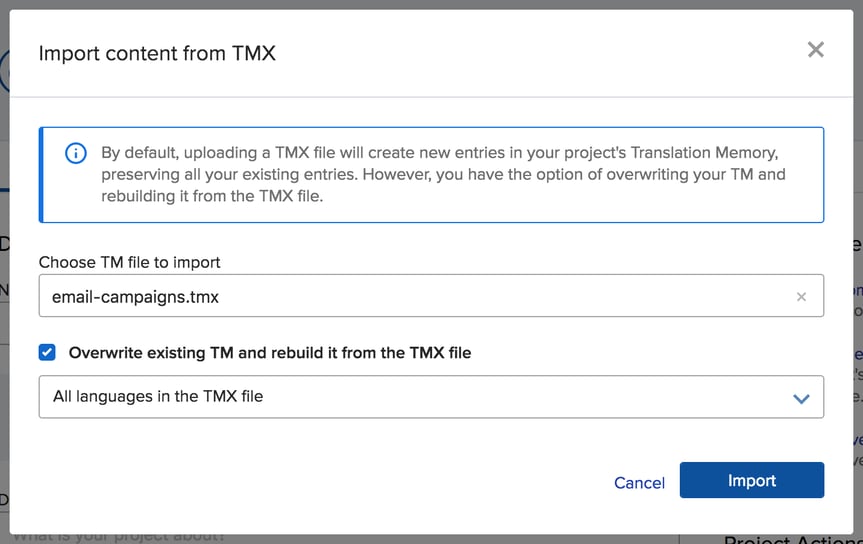 Making It Easier to Clean Up Your Translation Memory